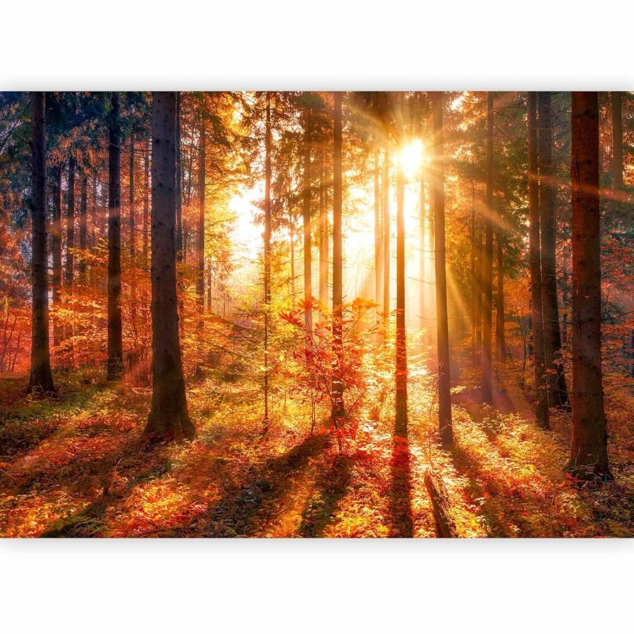 Amazon.co.jp: artgeist 壁画 森林 98インチx69インチ XXL